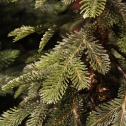 Albero di Natale artificiale Sierra Alt. 240 cm Verde abete
