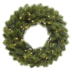 Corona di Natale luminosa Asarum D40 cm Bianco caldo