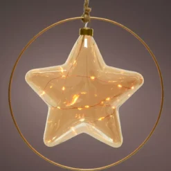 Decorazione da appendere luminosa a pile 15 LED (D26 cm) Stella Invernale Ambra/bianco caldo