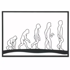Decorazione murale in metallo (70 x Alt 50 cm) Evolution Nero