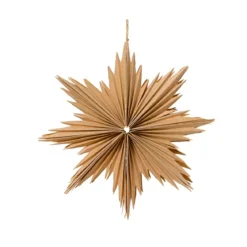 Decorazione natalizia sospesa in carta (D30 cm) Stella ghiacciata Naturale