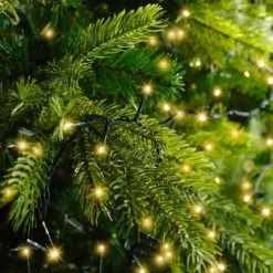 Ghirlanda luminosa 7,50 m 350 LED cavo verde Luxe Bianco caldo Champagne