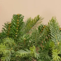Ghirlanda per albero di Natale (280 cm - D8) Glorious Verde abete