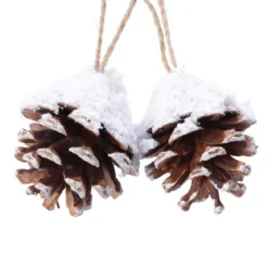 Set di 2 pigne Pini Naturale