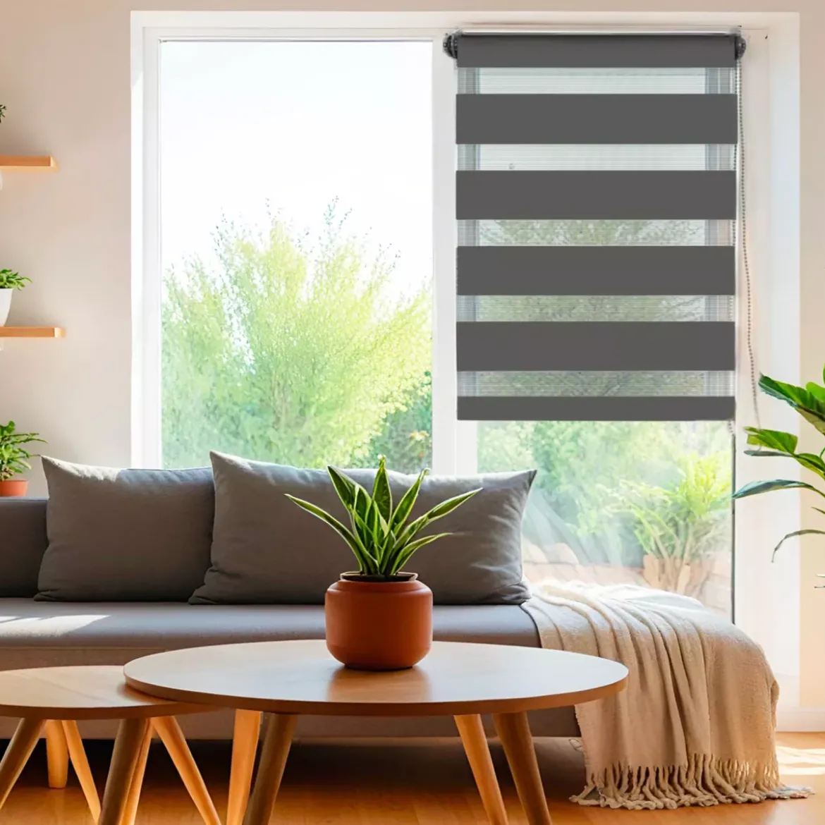 Tenda a rullo Giorno/Notte (75 x 250 cm) Grigio antracite